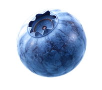 Uploaded: Blueberry.png